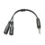 FREE Audio Splitter Cable   + SGD10.00 